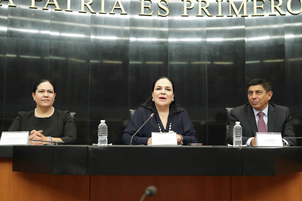 Versión estenográfica del mensaje de la senadora Mónica Fernández